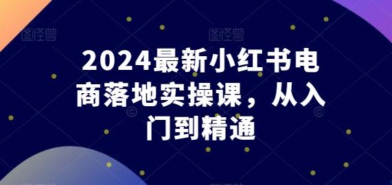 2024最新小红书电商落地实操课,从入门到精通-海旭网创