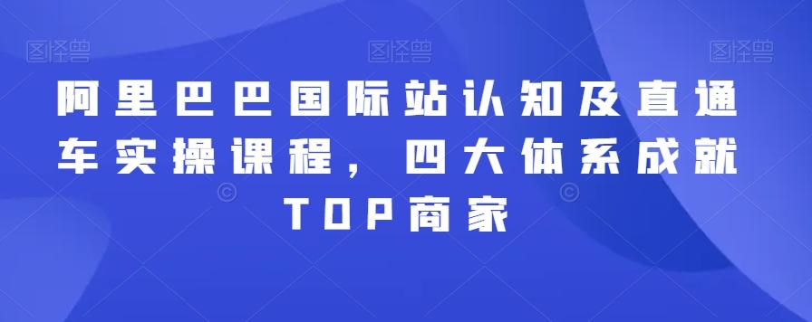 阿里巴巴国际站认知及直通车实操课程,四大体系成就TOP商家-海旭网创