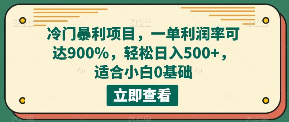 冷门暴利项目,一单利润率可达900%,轻松日入500+,适合小白0基础-海旭网创